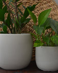Gray Concrete Planter