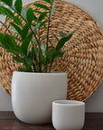 Gray Concrete Planter