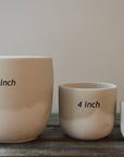 Gray Indoor Concrete Planter