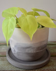 Stormy Skies Concrete Planter