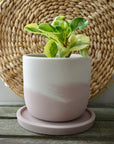 Pink Peony Concrete Planter