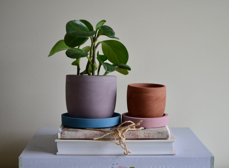 Purple Plum Concrete Planter