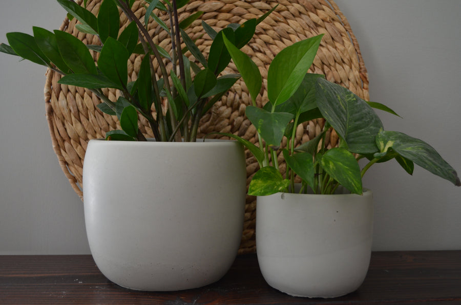 Gray Concrete Planter