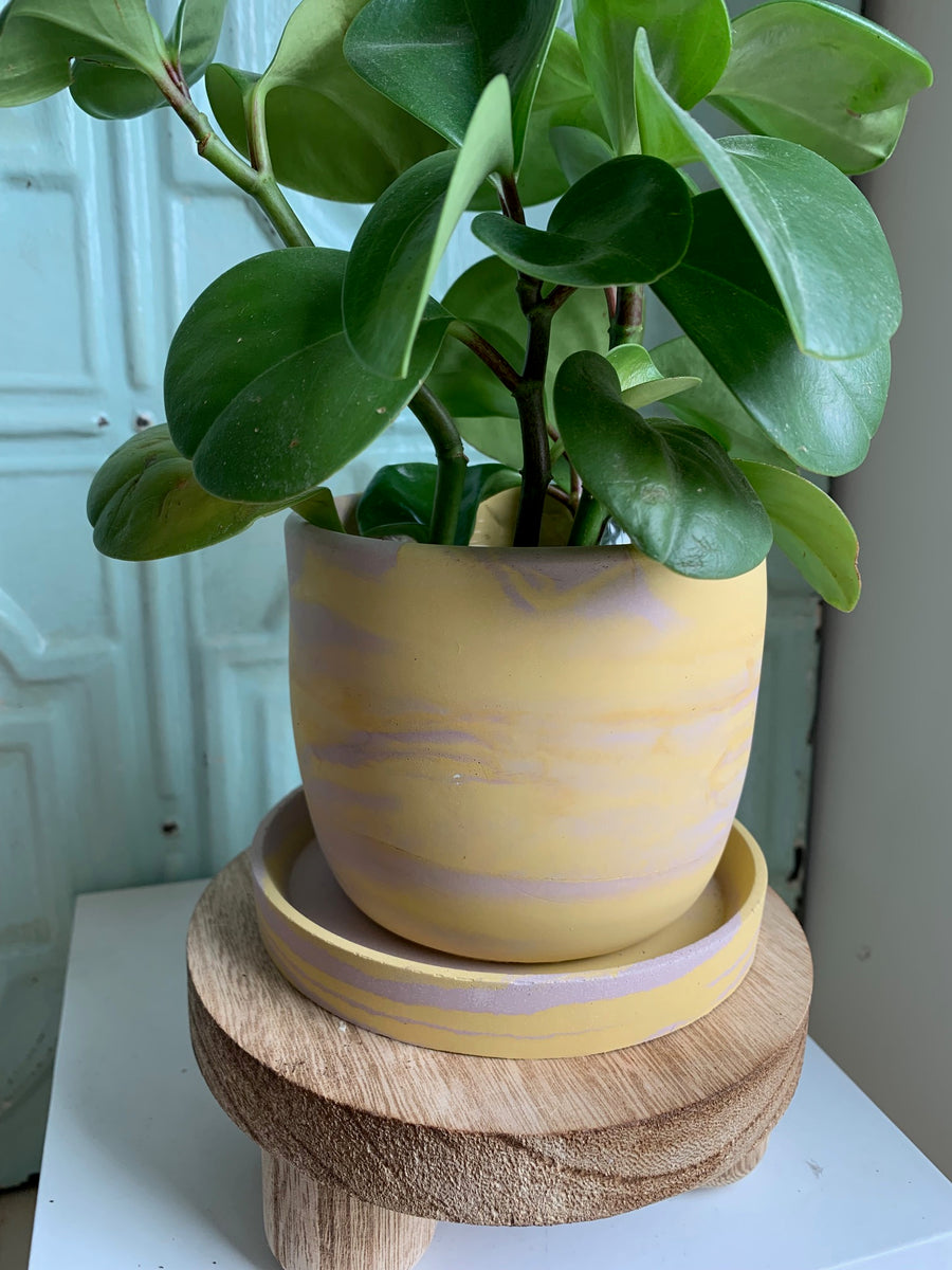 Pink & Yellow Swirl Planter