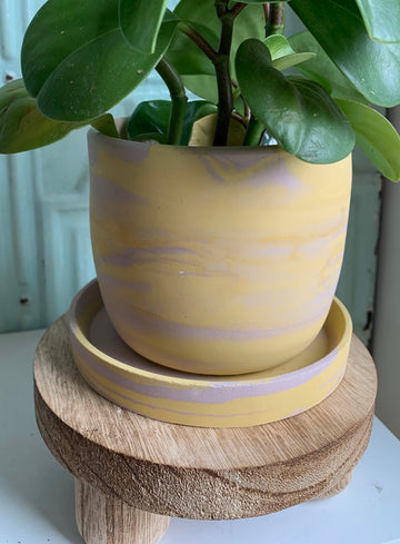 Pink & Yellow Swirl Planter