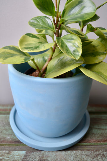 Blue Indoor Flower Pot