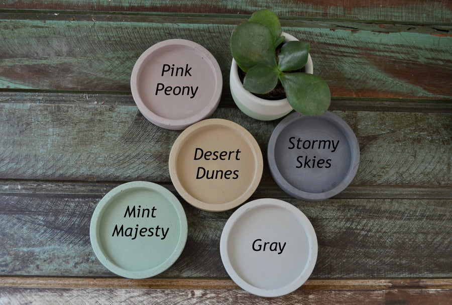 Small Planter Trays