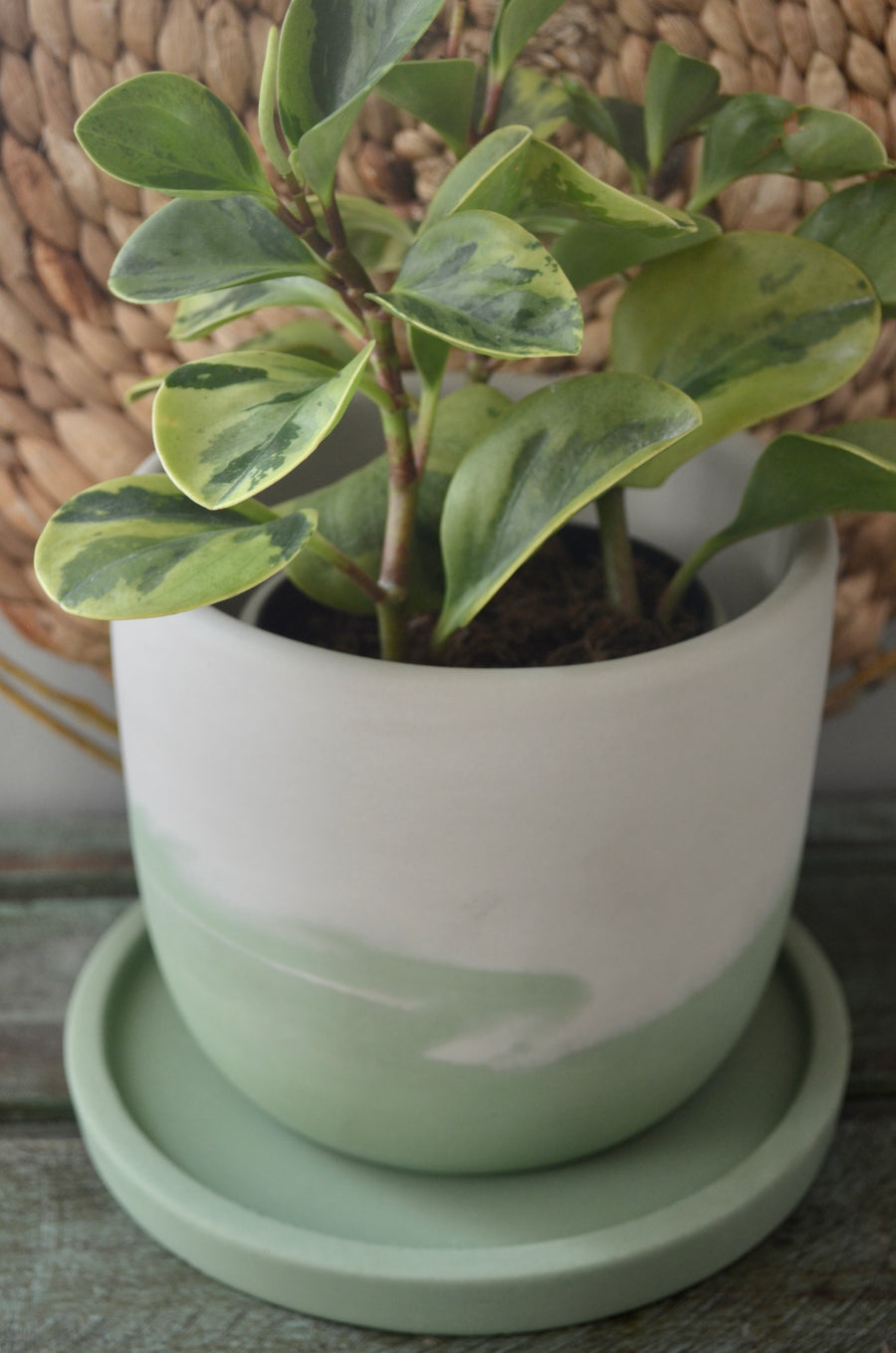 Green Ceramic Planter