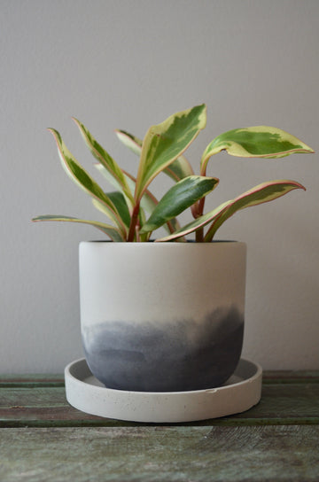 Stormy Skies Concrete Planter