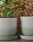 Green Indoor Plant Pot