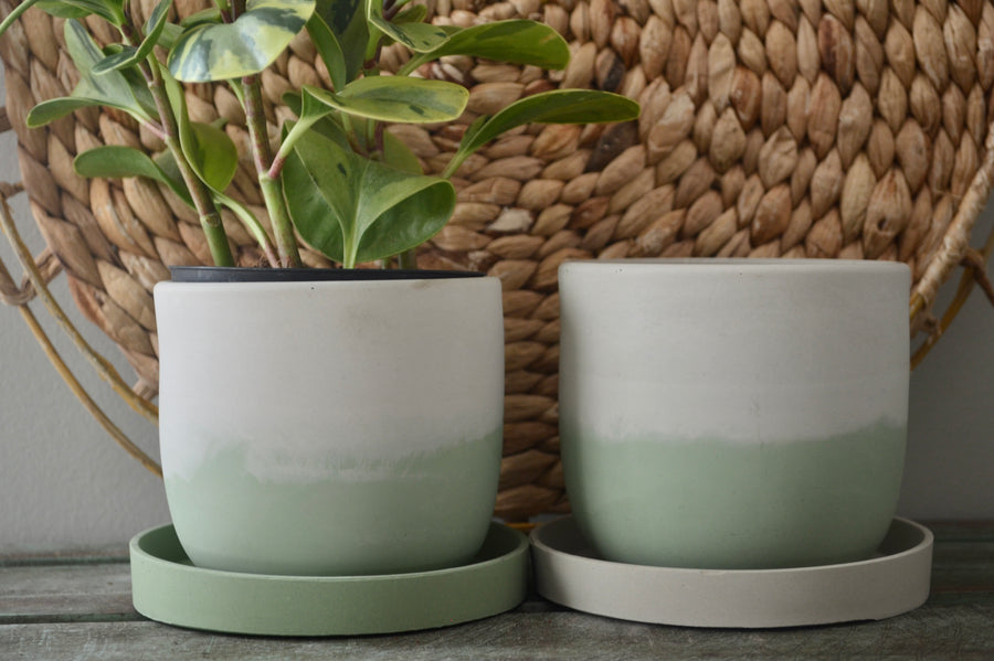 Green Indoor Plant Pot