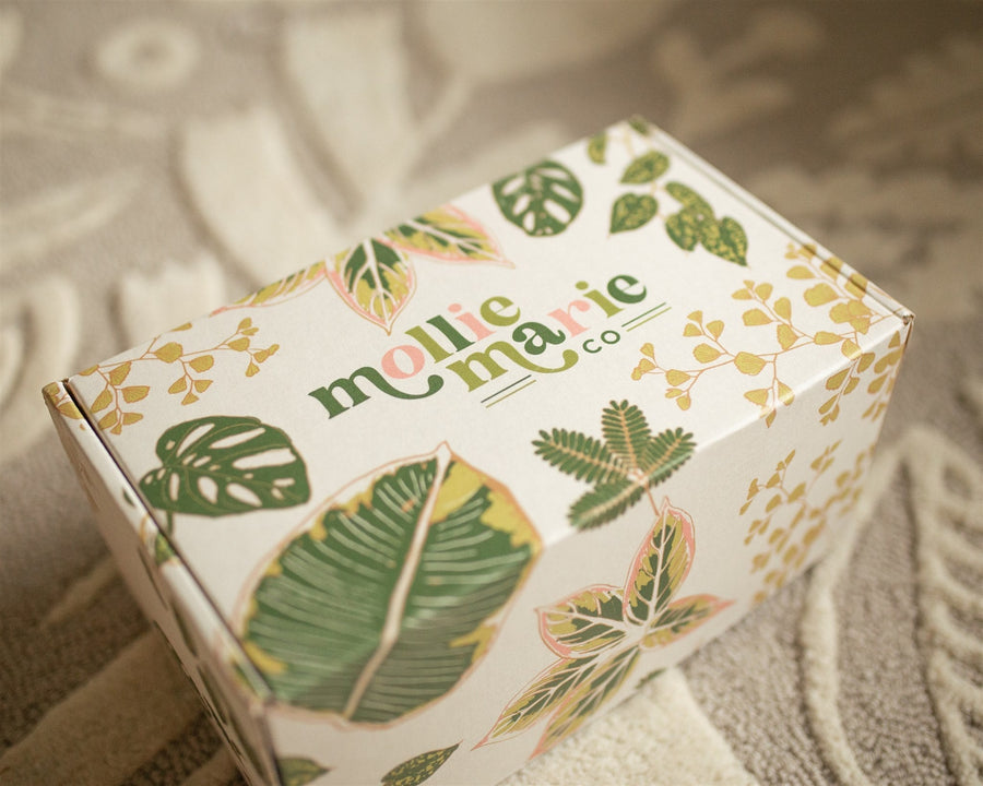 Planter Gift Box